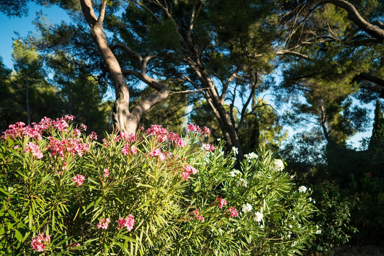 Domaine De Saint Clair Bed & Breakfast Aix-en-Provence Ngoại thất bức ảnh