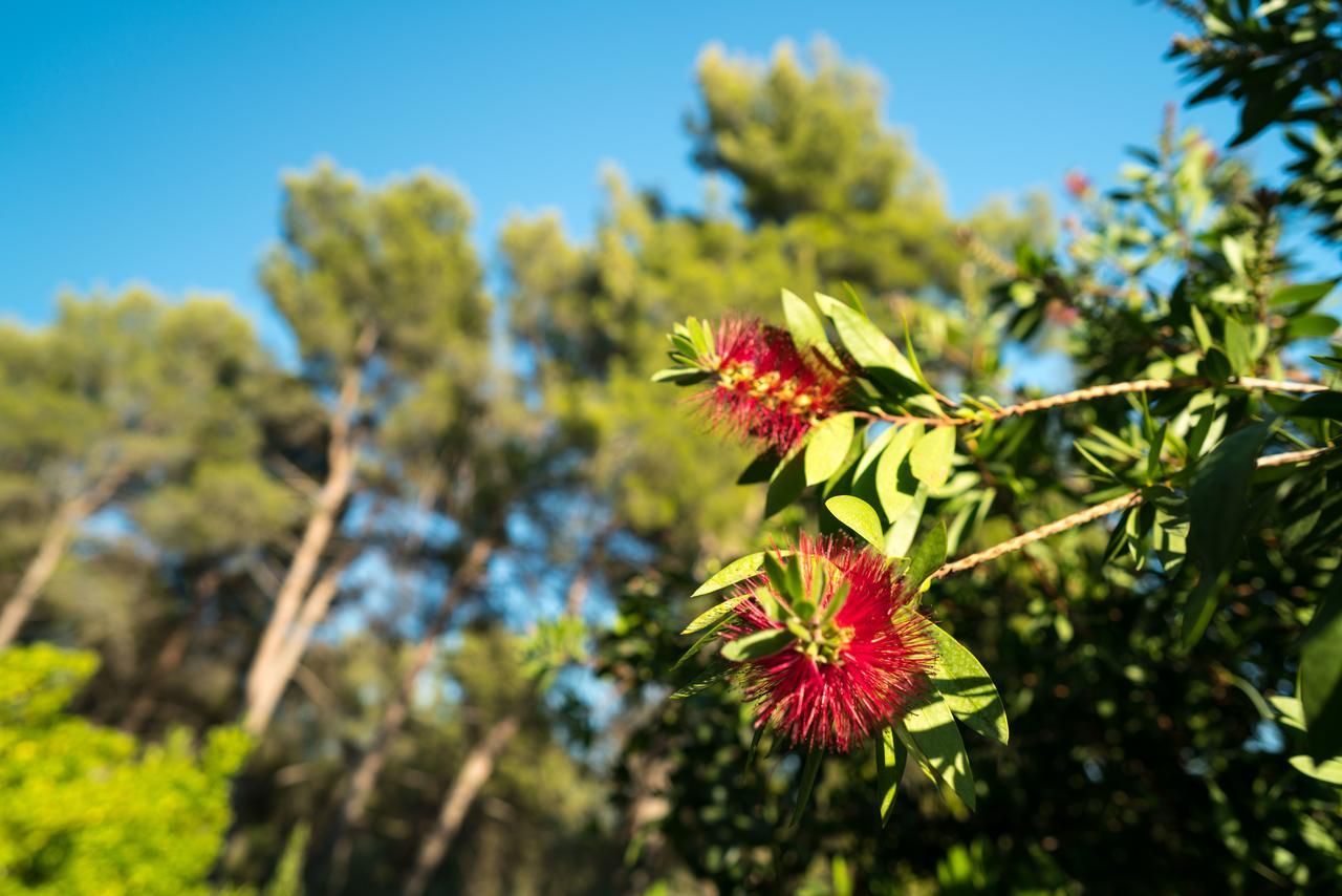Domaine De Saint Clair Bed & Breakfast Aix-en-Provence Ngoại thất bức ảnh